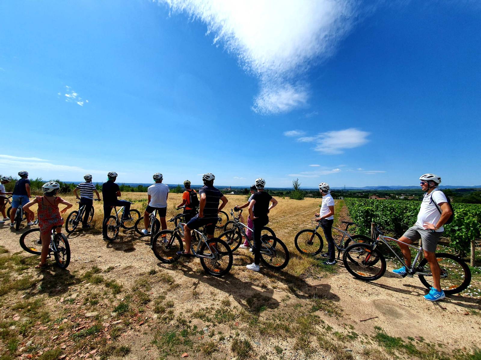 Challenge VTT dans les vignes, une activité team-building parfaite pour découvrir les vignobles autrement dans le Beaujolais ou la Vallé du Rhône