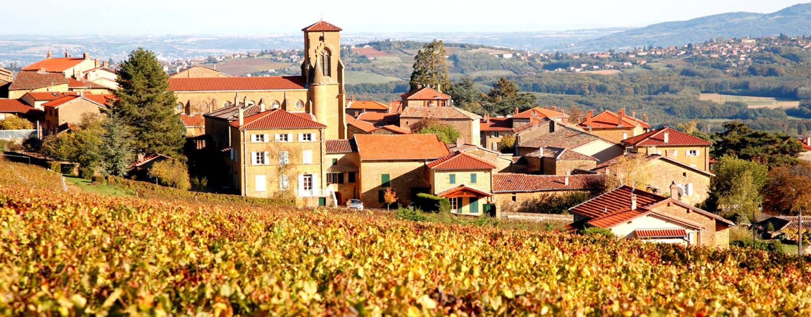 Chercher une animation œnologique pour entreprise situé aux environs de Lyon 69 Rhône-Alpes