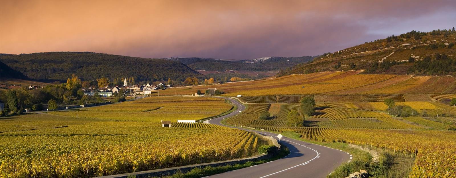 Séjour incentive ou séjour CE dans les vignes à Lyon et sa région