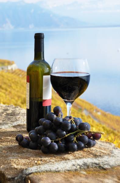 L'origine de la Syrah