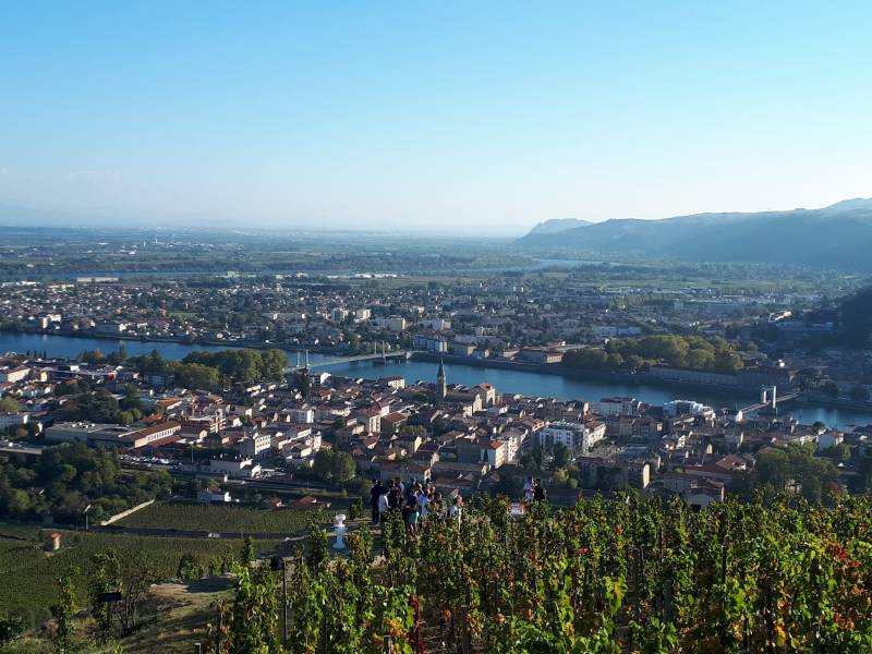 Challenge VTT dans les vignes, une activité team-building parfaite pour découvrir les vignobles autrement dans le Beaujolais ou la Vallé du Rhône