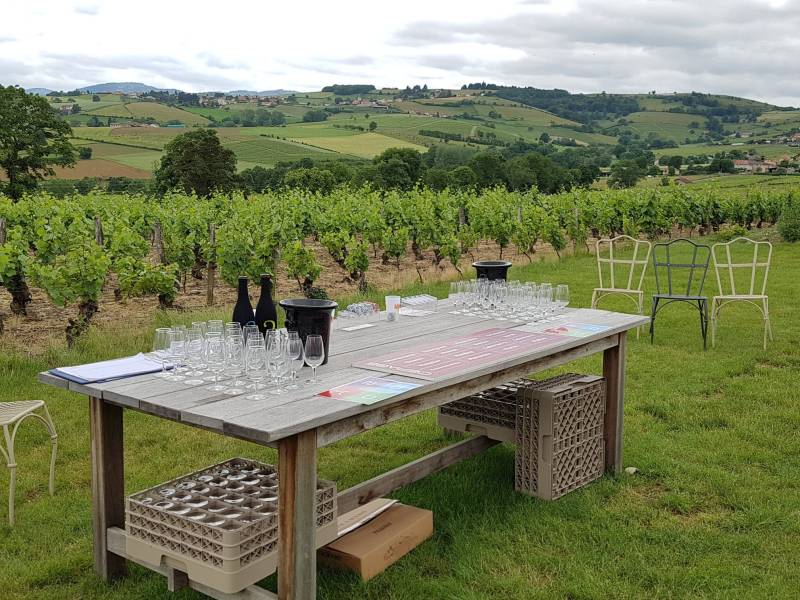 Une activité team-building oenologique au coeur des vignes du Beaujolais proche de Lyon