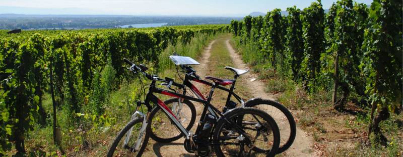 Balade en vélo électrique pour un team-building sportif dans les vignobles du Beaujolais et en région Rhône-Alpes