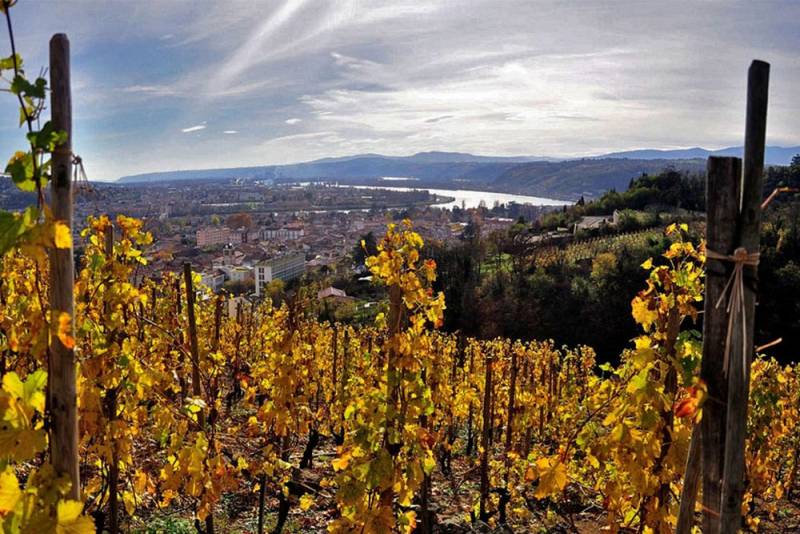 Balade en VTT avec votre guide pour une journée incentive entre collaborateur mémorable proche de Lyon et sa région