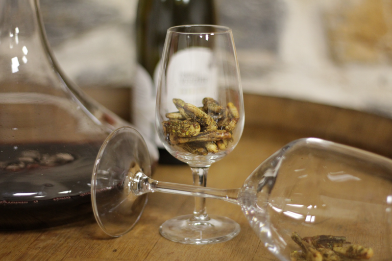 Dégustation vin et insectes, une activité insolite lors d’un séminaire qui marquera les esprits de vos collaborateurs sur Lyon et sa région