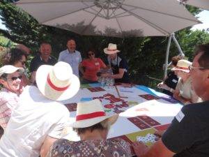 Le vin se met au vert !