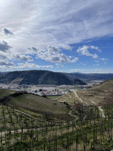 Séjour CE ou séjour incentive au coeur des vignes de la Vallée du Rhône proche de Lyon et sa région