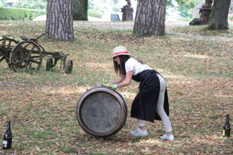 Olympiades viticoles, activité team building récréative pour fédérer vos collaborateurs autour d’activités de dégustation, sportive, réflexion... Votre animation multi-activités à Lyon et sa région