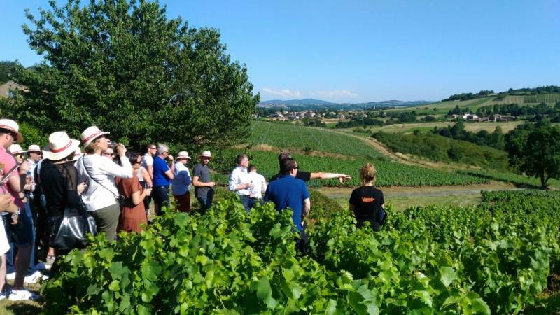 Lyon, destination stratégique & gastronomique