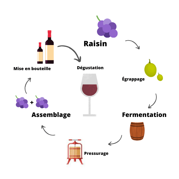 Les Chais Urbains : de la vigne en ville !
