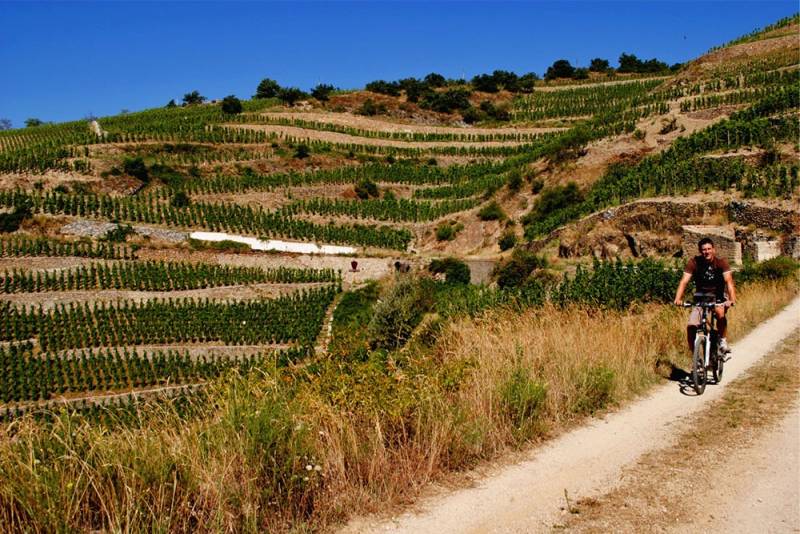 Balade en vélo électrique au coeur de svignes de la Vallée du Rhône et journée incentive entre clients et collaborateurs proche de Lyon
