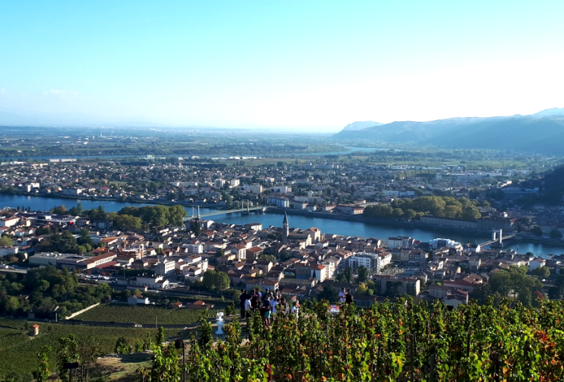 Challenge VTT dans les vignes, une activité team-building parfaite pour découvrir les vignobles autrement dans le Beaujolais ou la Vallé du Rhône