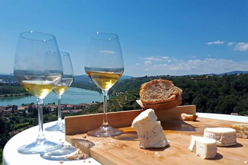 Accord vins et fromages, pause douceur pendant votre team-building balade en vélo dans la Vallée du Rhône proche de Lyon