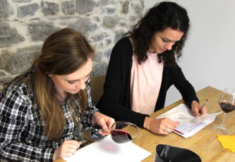 Top animations œnologiques pour CE