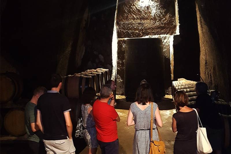 Circuit œnotouristique accompagné dans le Beaujolais ou la Vallée du Rhône (demi-journée ou journée)