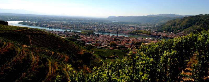 Circuit œnotouristique accompagné dans le Beaujolais ou la Vallée du Rhône (demi-journée ou journée)
