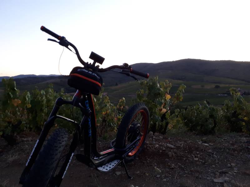 Excursion en trottinette électrique, journée incentive à la découverte du Beaujolais et de ses vignobles
