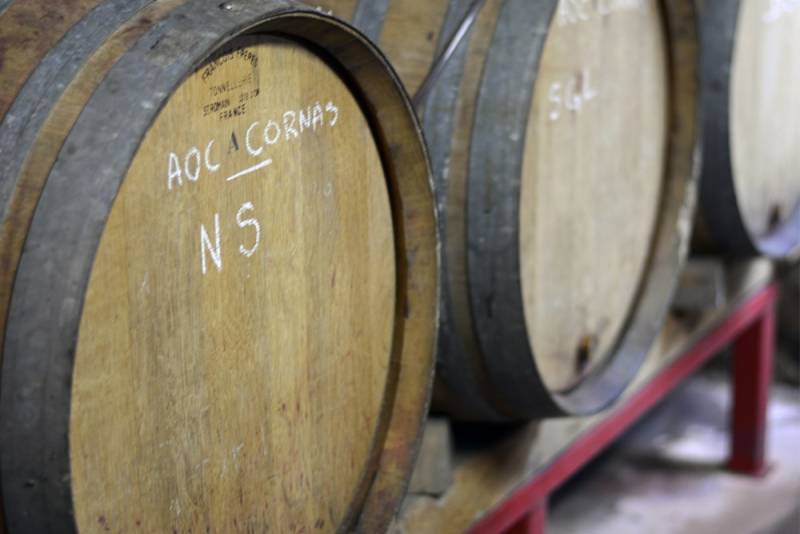 Journée incentive au coeur des vignes de la région Rhône-Alpes
