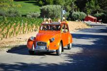 Nos prestations sur le secteur de Dardilly 69570